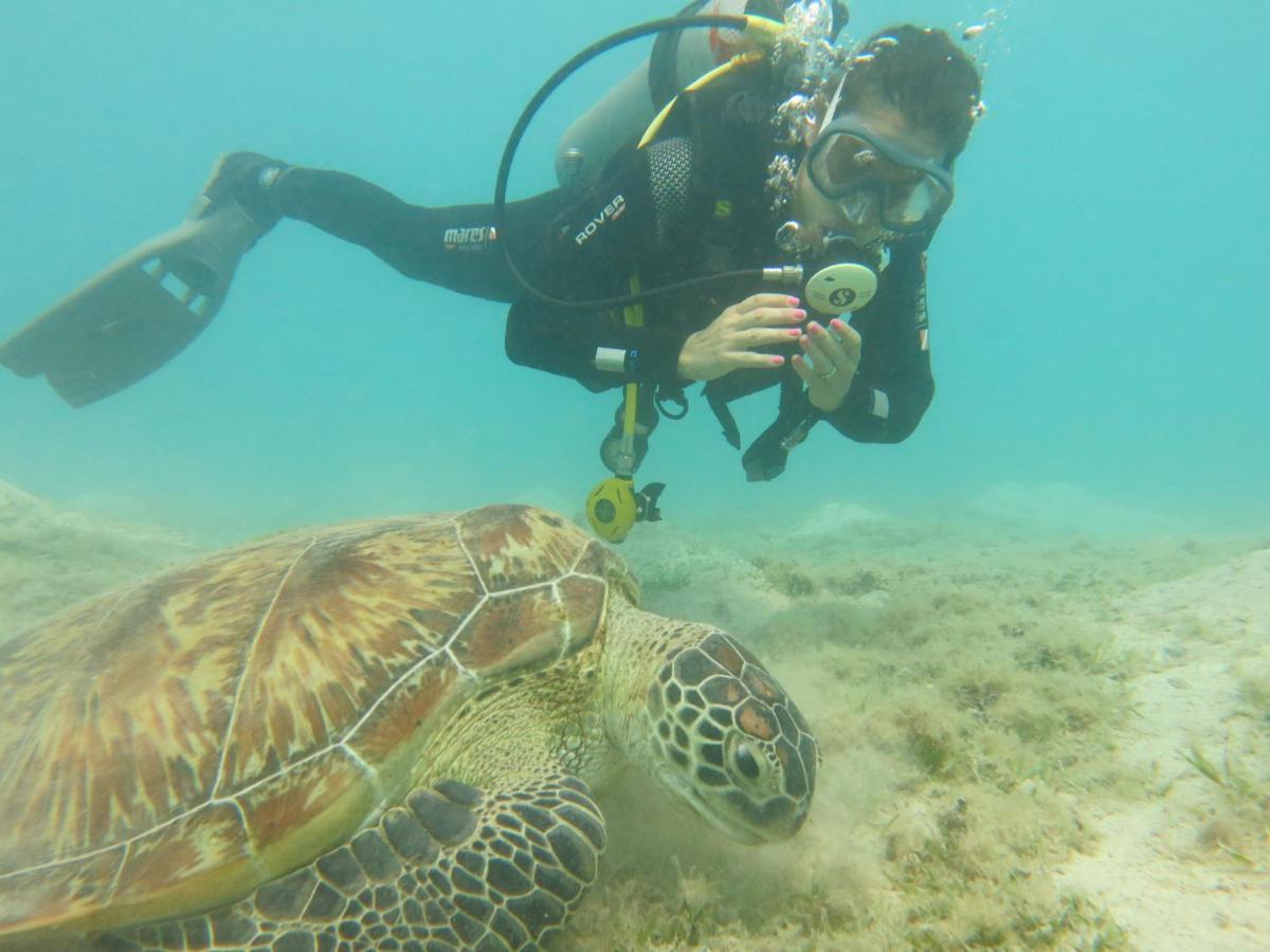 Blue Vision Diving Hotel Marsa Alam Exterior foto